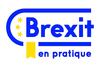 Brexit : fin du service en ligne pour les demandes de titres de séjour « accord de retrait »